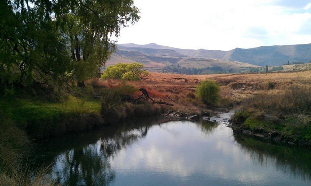 De Molen Farm Villa Clarens Bagian luar foto