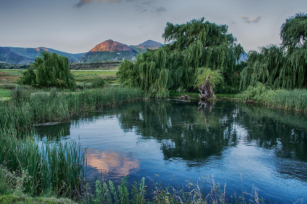 De Molen Farm Villa Clarens Bagian luar foto