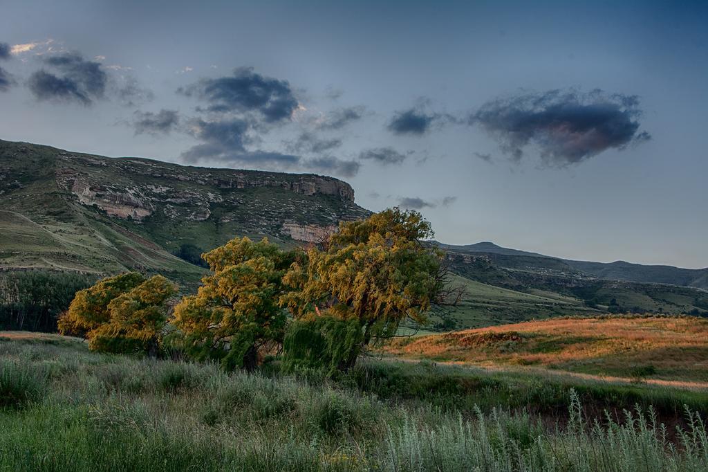 De Molen Farm Villa Clarens Bagian luar foto